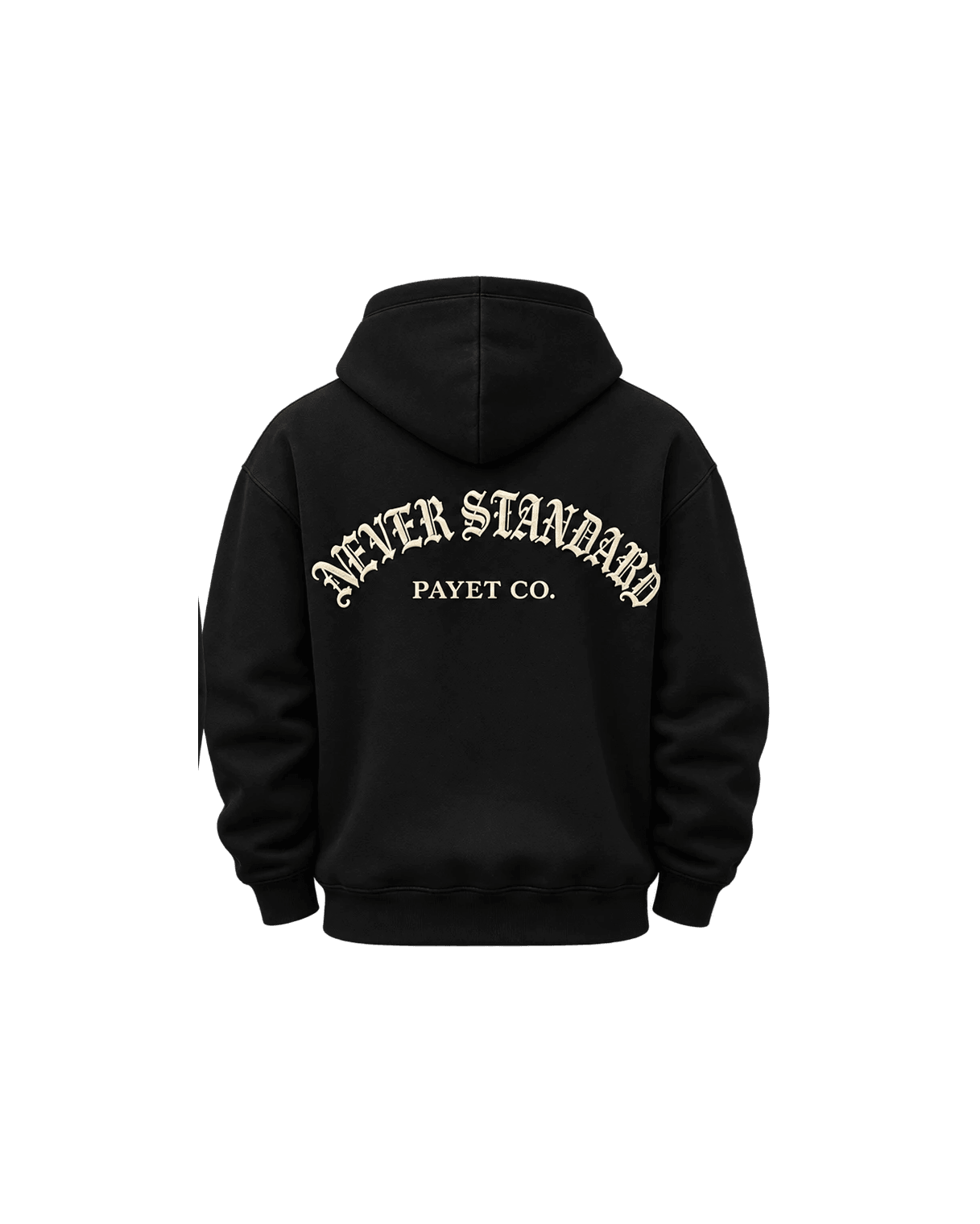 Never Standard Hoodie — back